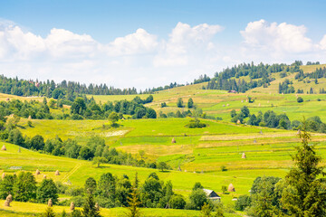 mountainous rural landscape on a sunny day. picturesque highland. countryside scenery with lush...