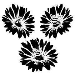 Happy Bees, Hand Drawn Vector Illustration