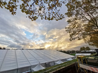 Tent in Lucca for Lucca Comics