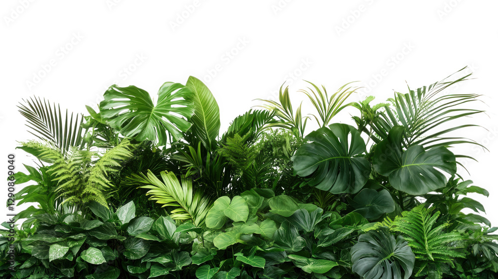 Poster lush arrangement of various tropical plants. showcasing a vibrant display of leaves in different sha