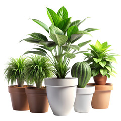 Obraz premium Indoor Plant Collection: 5 Potted Plants isolated on transparent background