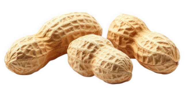 three raw peanuts. showcasing their textured shells the peanuts are arranged in a way that highlights their natural shape and color. set against a clean. white background. emphasizing their organic ap