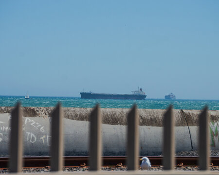 Cargo ships on the ocean, framed by a metal fence and coastal barrier. Seagull in foreground, sailboat in distance. Industrial maritime scene with blue sky, turquoise waters, & global shipping route.
