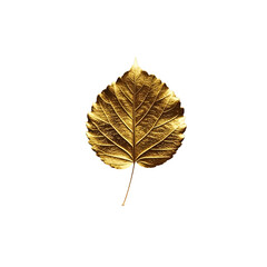 Floating golden leaf against a deep black