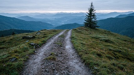 Mountain path, misty morning, tranquil vista, inspiring landscape, outdoor exploration, scenic view, nature photography, peaceful moment