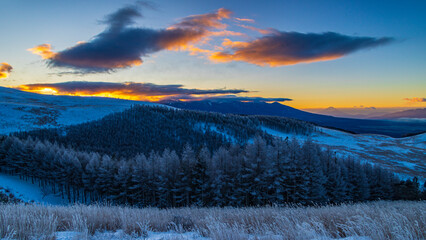 冬の霧ヶ峰　夜明け前　霧氷　絶景