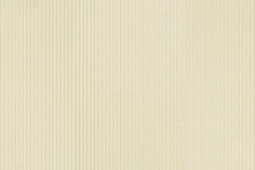 Fototapeta premium Simple cardboard background