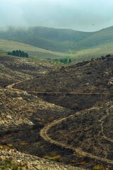 After the blaze. Farm and animal tracks exposed after a late summer fire.
