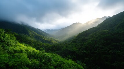 Obraz premium Lush Green Mountain Valley with Sunlight and Mist