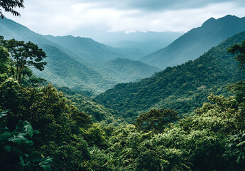 Obraz premium Lush Green Mountain Range