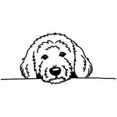 Fototapeta premium a Labrador line art icon, isolated on white background 