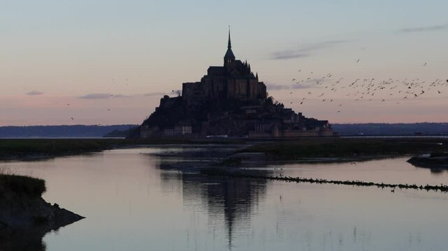 Flocks of migratory birds fly around the Mont Saint-Michel castle on the seaside.바닷가에 있는 몽생미셀성주위로 철새떼들이 날아다닙니다.