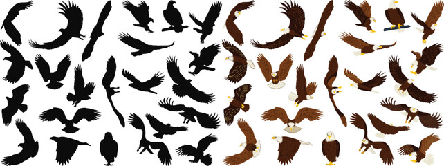 silhouette eagles collection on white background, vector