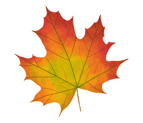 Beautiful Maple Leaf Illustration Painting in Artistic Style