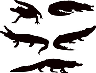 silhouette crocodiles collection on white background, vector
