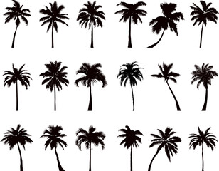 palm tree silhouette collection on white background, vector