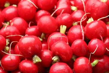Many fresh radishes as background, closeup view