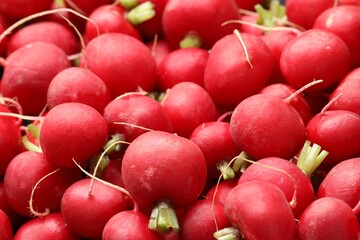 Many fresh radishes as background, closeup view