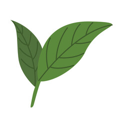 Leaf clip art, clip art leaf, tropical leaves vector, clip art tropical leaves, isolated on white background