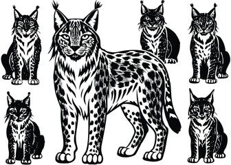 Eurasian lynx Silhouette set black Vector design, Eurasian lynx Illustration Vector animal set Design for Printing and Craft Projects.