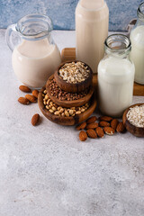 Plant based vegan non dairy alternative milk