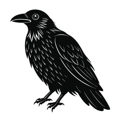 Raven Vector Illustration 