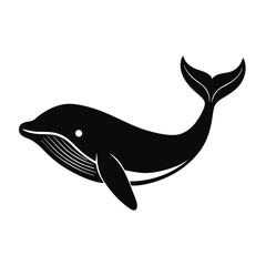 Whale Vector Illustration 