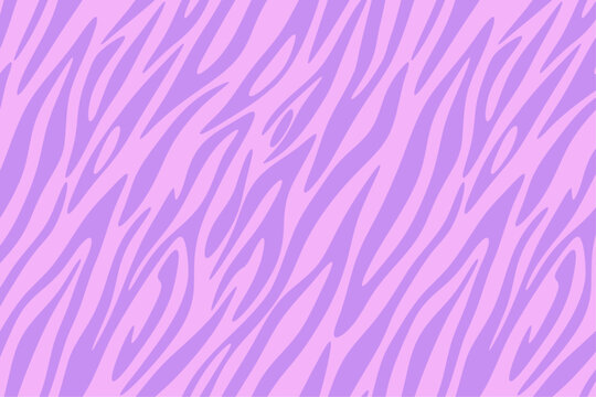 Zebra stripes pattern in purple color, Animal skin background, Vector illustration