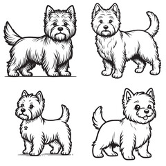 High-Quality Cute Cartoonic Cairn Terrier Standing Pose Vector Illustrations