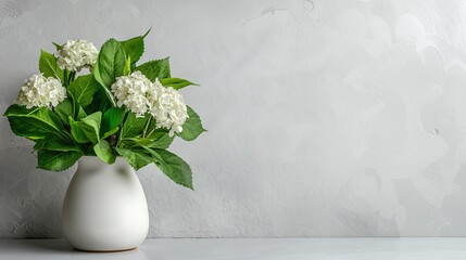 White hydrangea flowers in vase on gray background with copy space. Minimalist studio shot for greeting card, banner, social media design