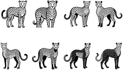 Snoweopard portrait in black and white. Cheetah vector set. Serval illustration in black lines