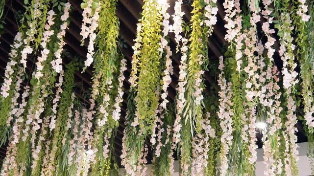 beautiful decoration of climbing flowers hanging from the roof