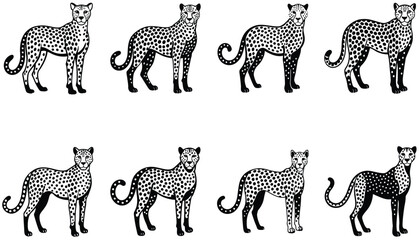 Snoweopard portrait in black and white. Cheetah vector set. Serval illustration in black lines