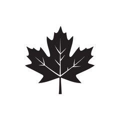 maple leaf isolated on white