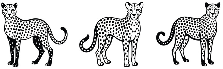 Snoweopard portrait in black and white. Cheetah vector set. Serval illustration in black lines