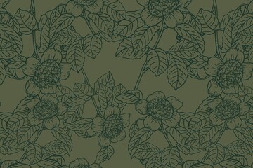 Floral line art background, green hand drawn design