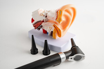 Otoscope with model for audiologist or ENT doctor use otoscope checking ear and treat hearing loss...