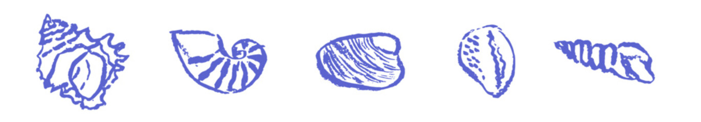 Blue sea or ocean shell collection. Contemporary abstract minimal art in chalk, charcoal or crayon drawing style vector illustration. Ink hand drawn doodle shells set. Pencil drawn design elements.