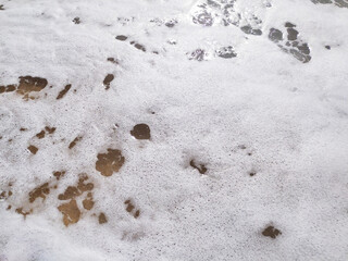 Gentle waves rolling onto sandy beach at sunrise, creating bubbles and a shimmering surface