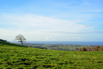 Horizonte marino tras ladera de hierba verde en Asturias