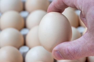 Hand holding a single egg against eggs in a paper container, representing the concept of egg prices and rising food costs.
