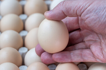 Hand holding a single egg against eggs in a paper container, representing the concept of egg prices and rising food costs.