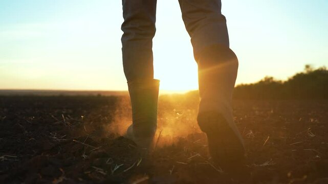 Farmer walks through soil at sunset. Rubber boots in dusty soil. Farmer treads on fertile land at sunset. Scenic rural lifestyle. boots in soil. Farmer journey in evening sun. Cinematic farming scene.