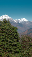 GHOREPANI, NEPAL - JANUARY 10, 2025: Breathtaking landscapes of Ghorepani, Nepal, majestic mountains and lush greenery under a clear blue sky, pan.
