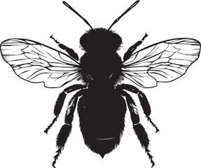 vector illustration of a silhouette of a bee