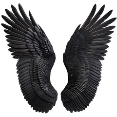 Obraz premium Intricately detailed, symmetrical dark wings with layered feathers, isolated on transparent background PNG