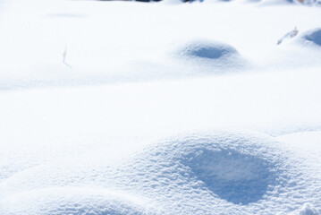 雪の風景