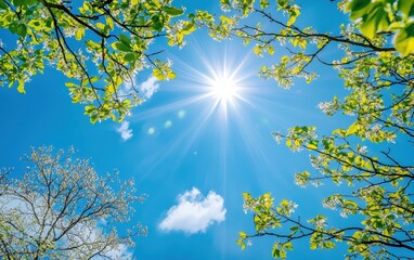 Obraz premium Vibrant spring morning with crisp blue sky and warm sun