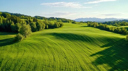 Vibrant green landscape featuring solar panels in a calm, sunny environment