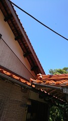 2389)japanese yellow hornet nest in the attic(Photo taken at 12:16 on september 3, 2017)